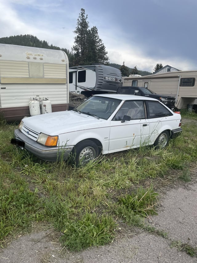 1985 ford escort for sale Planet 51 porn