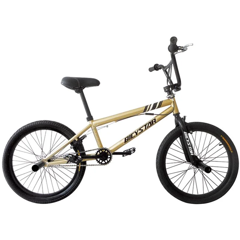 20 inch bmx bike for adults Postman outfit adults