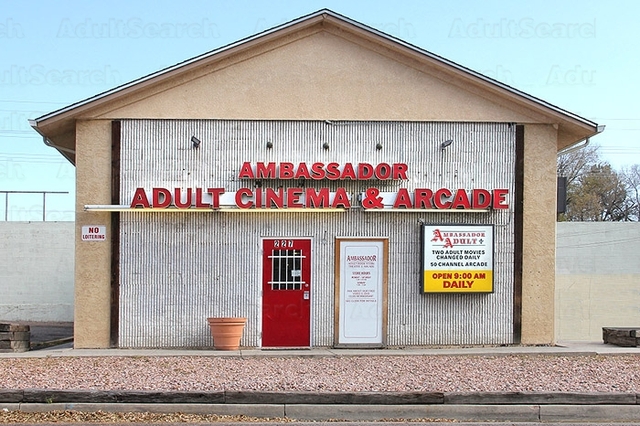 Adult bookstore arcade near me Astrid hofferson porn comics