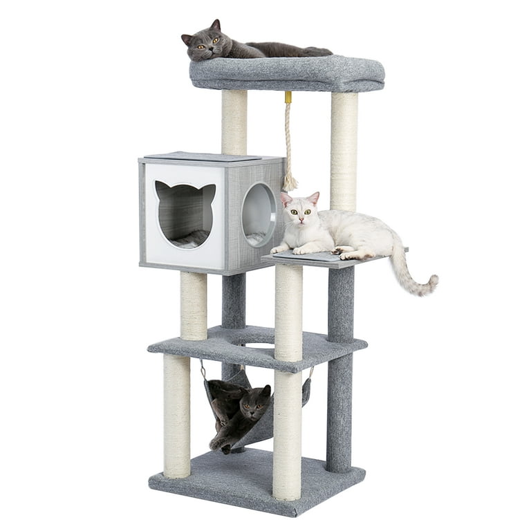 Adult cat tree Only japan porn