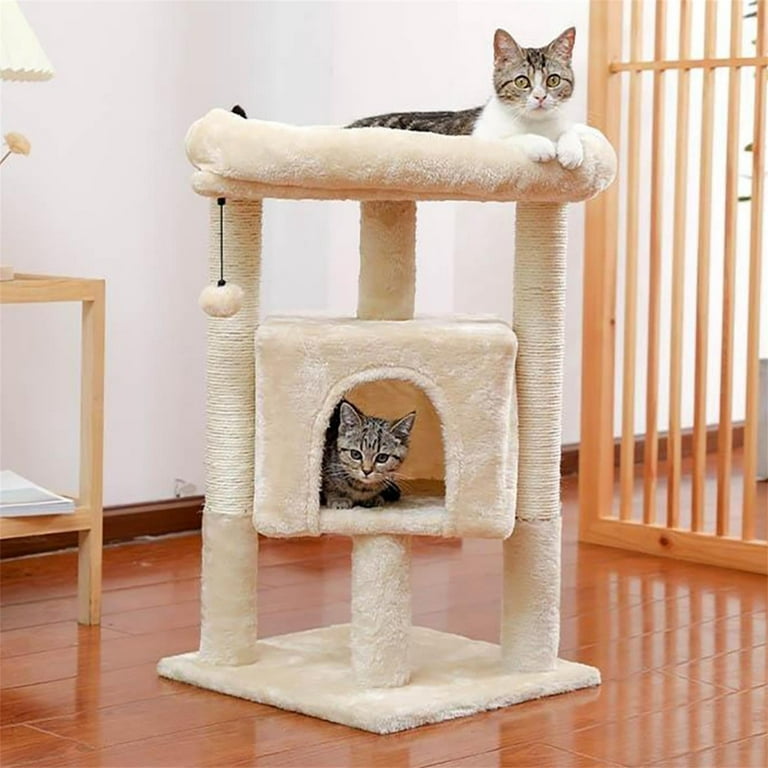 Adult cat tree Huge white booty anal