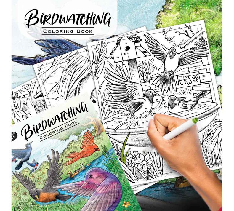 Adult coloring book birds Konekokatana porn