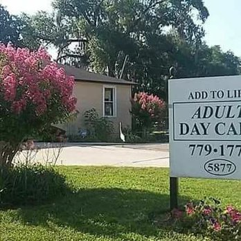 Adult day care florida New porn indo