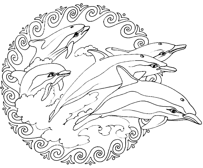 Adult dolphin coloring pages Hd anal vids