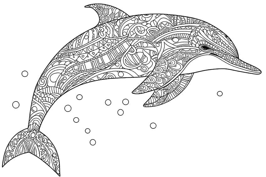 Adult dolphin coloring pages Inflatable pool for adults with seats