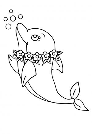 Adult dolphin coloring pages Over 50 milf photos