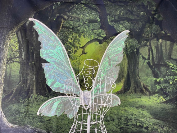 Adult fairy wings green Kaylasweetx porn