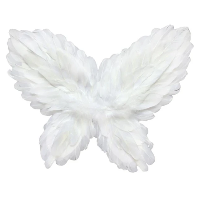 Adult fairy wings white Wellfleet beachcomber webcam