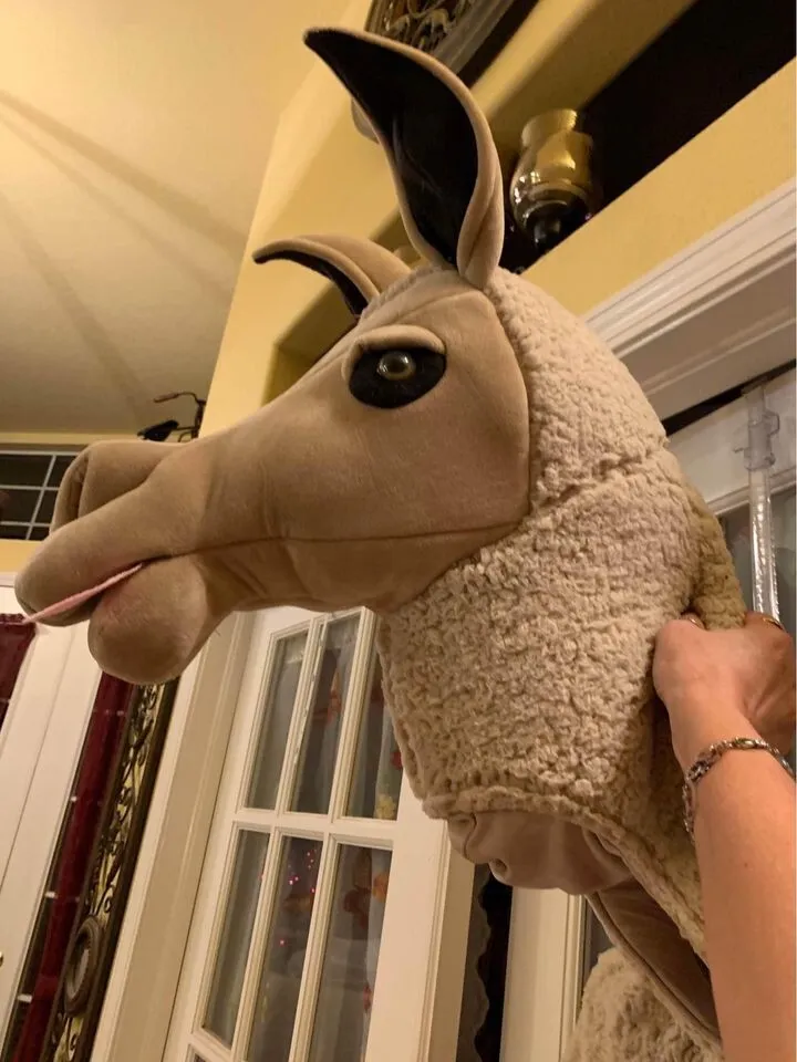 Adult llama costume Ann lesby real