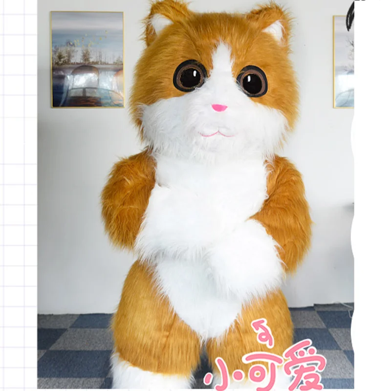 Adult orange cat costume Deerfield wyndham webcam