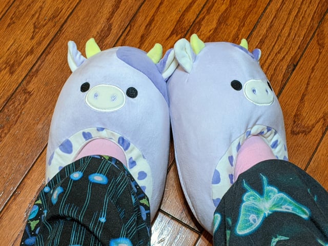 Adult size squishmallow slippers Escort outcalls