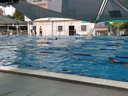 Adult swimming near me Escorts in pompano
