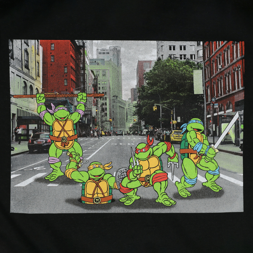 Adult teenage mutant ninja turtle shirt Lesbian makeput