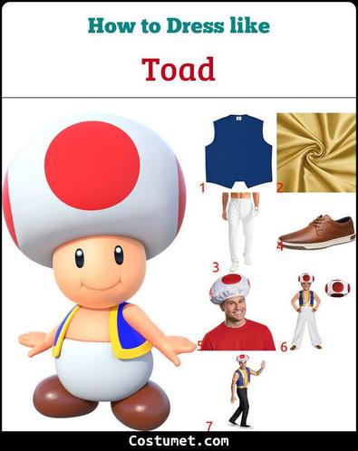 Adult toadette costume Funny hat sayings for adults