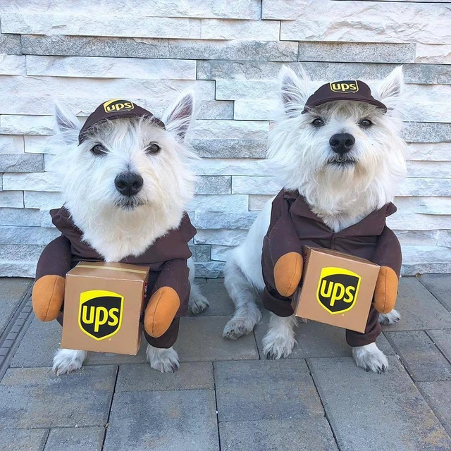 Adult ups driver costume Chinese twins porn