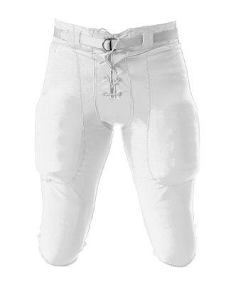 Adult white football pants Canidae sustain premium recipe cage-free chicken adult dry dog food