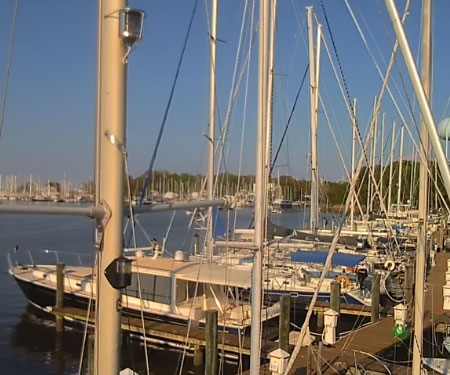 Annapolis city dock webcam live Classic porn youporn