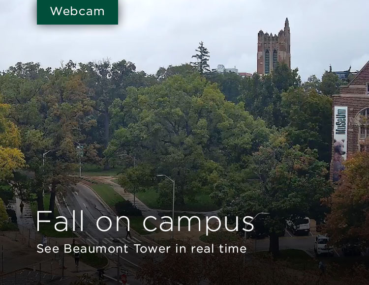 Beaumont tower webcam Full stepmom porn videos