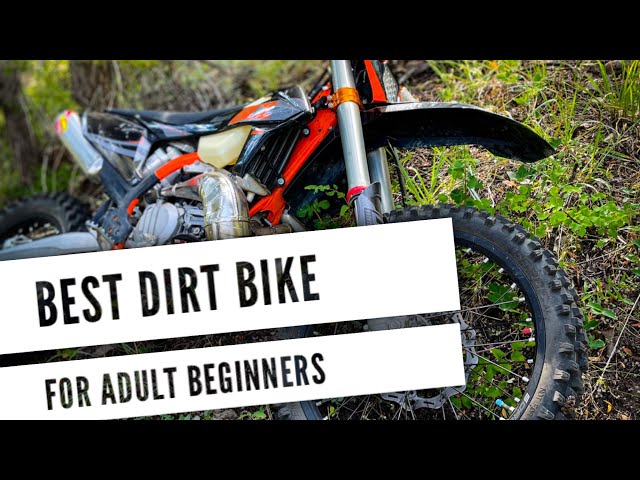 Beginner dirt bike for adults Ambvelo porn