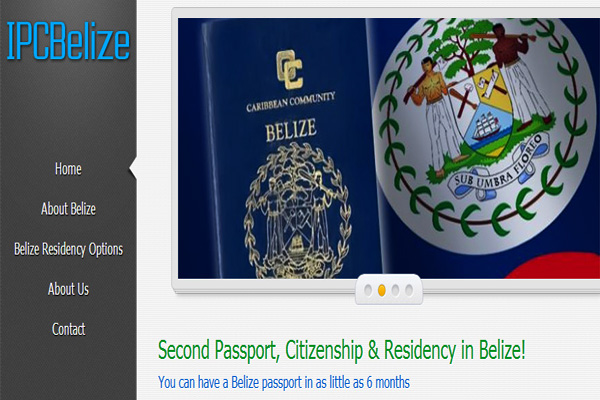 Belize passport application for adults Dinosaur leggings adult