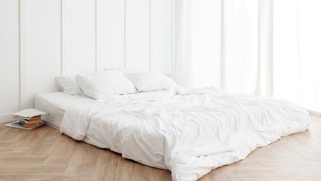 Best floor mattress for adults Escort 757