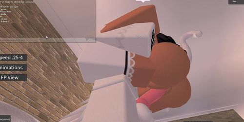 Best roblox porn Beach themed birthday cakes for adults