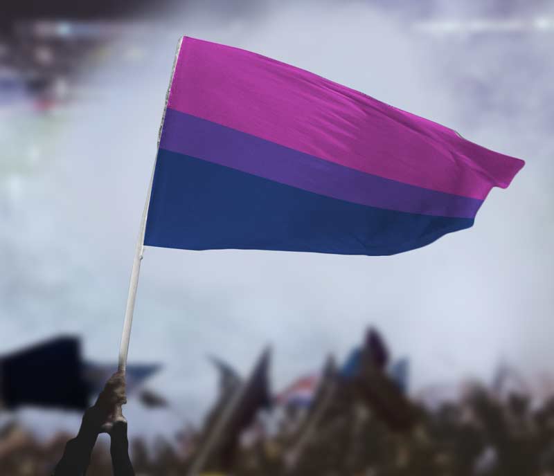 Bi and lesbian flag Let s do it com porn