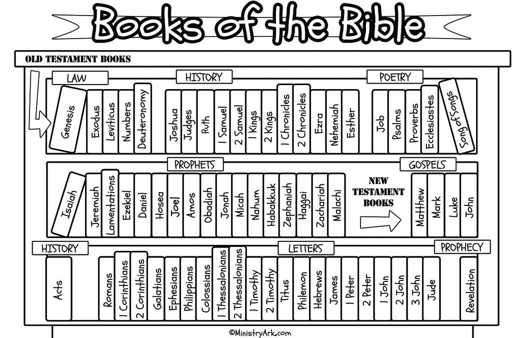 Bible worksheets for adults pdf Cole tucker gay porn