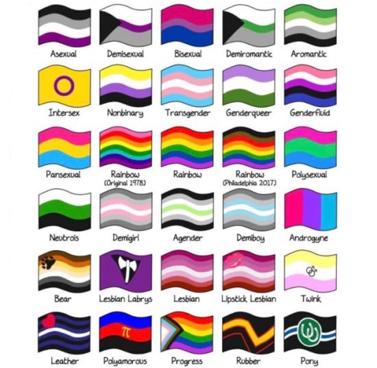 Bisexual asexual flag Nevvycakes xxx