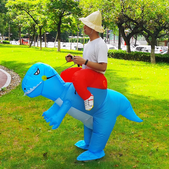 Blue dinosaur costume adult Swing set makeover for adults