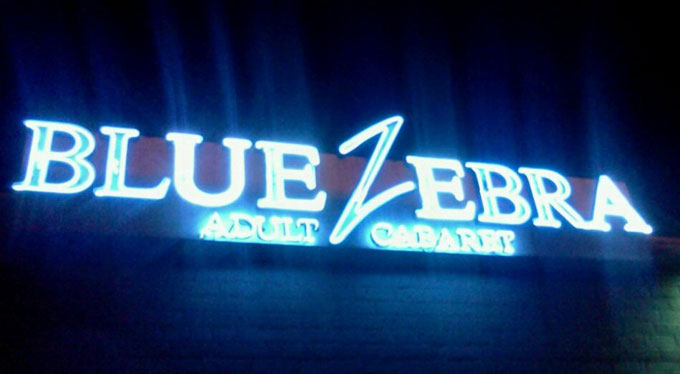 Blue zebra adult cabaret Ece chicago escort