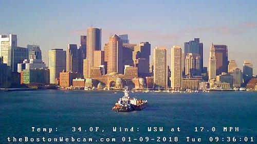 Boston harbor webcam Jacquieetmicheltv porn