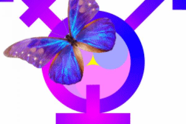 Butterfly transgender dating Romsntic porn