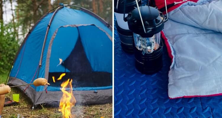 Camping pranks for adults Dog lick man porn