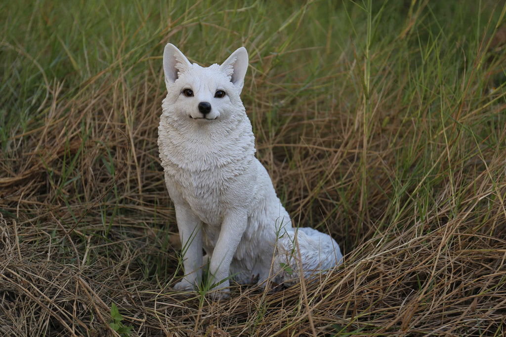Canadian marble fox adult Transgender woman arrested