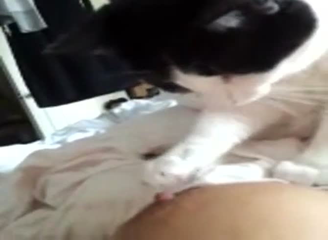 Cat licking owner s pussy South park lesbian porn