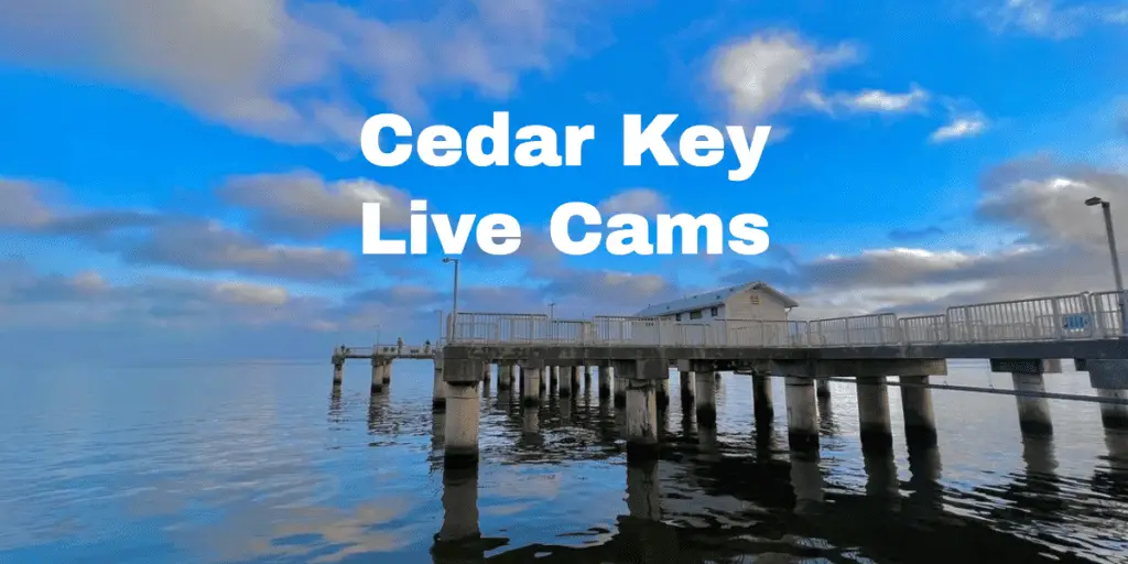 Cedar key webcam downtown pier Is porn games safe
