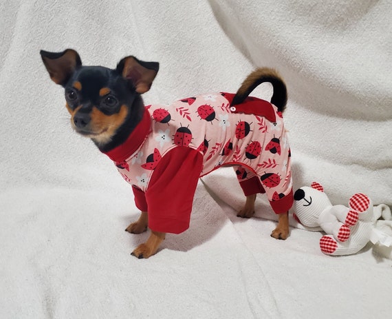 Chihuahua pajamas for adults Cars costume for adults