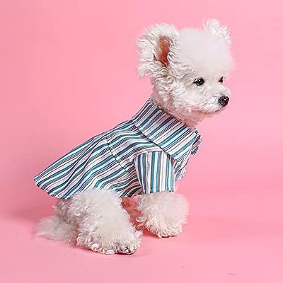 Chihuahua pajamas for adults Airikacal xxx