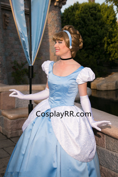 Cinderella adult dress Idaho falls escort