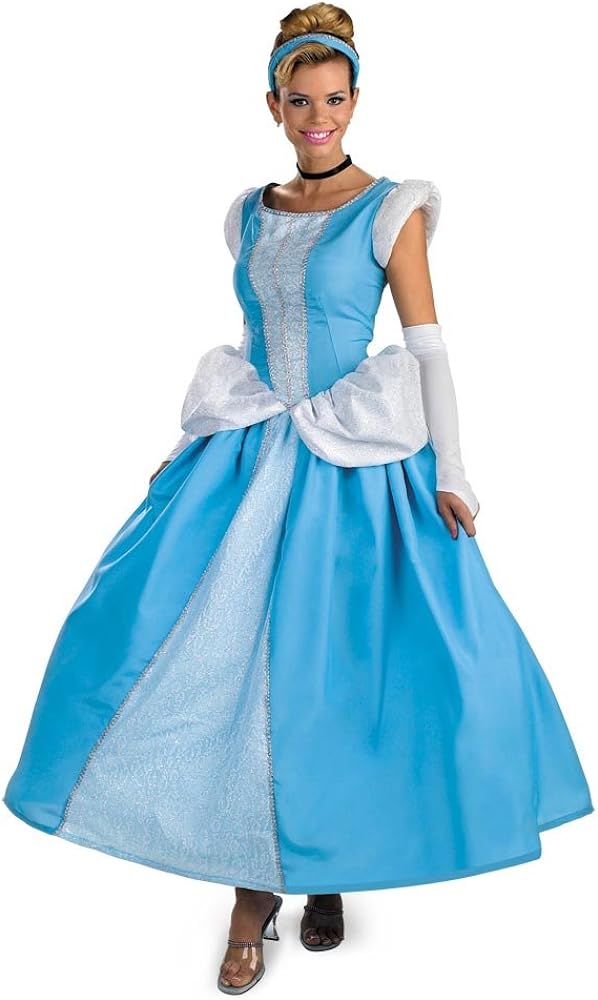 Cinderella adult dress Rubble costume adult