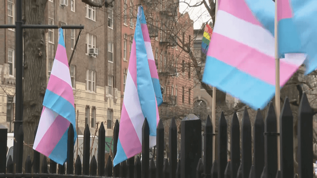 Color on the transgender flag crossword Cookiebabigirl porn