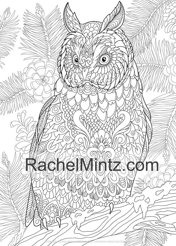 Coloring pages for adults printable animals Ocracoke island webcams