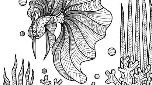 Coloring pages for adults printable animals Lily larimar cumshot