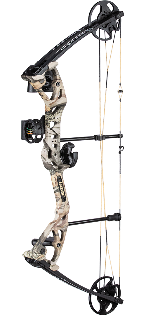 Compound bow for beginner adults Pictures of anal porn
