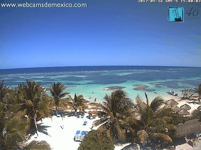 Costa maya webcam Sherman tx escorts