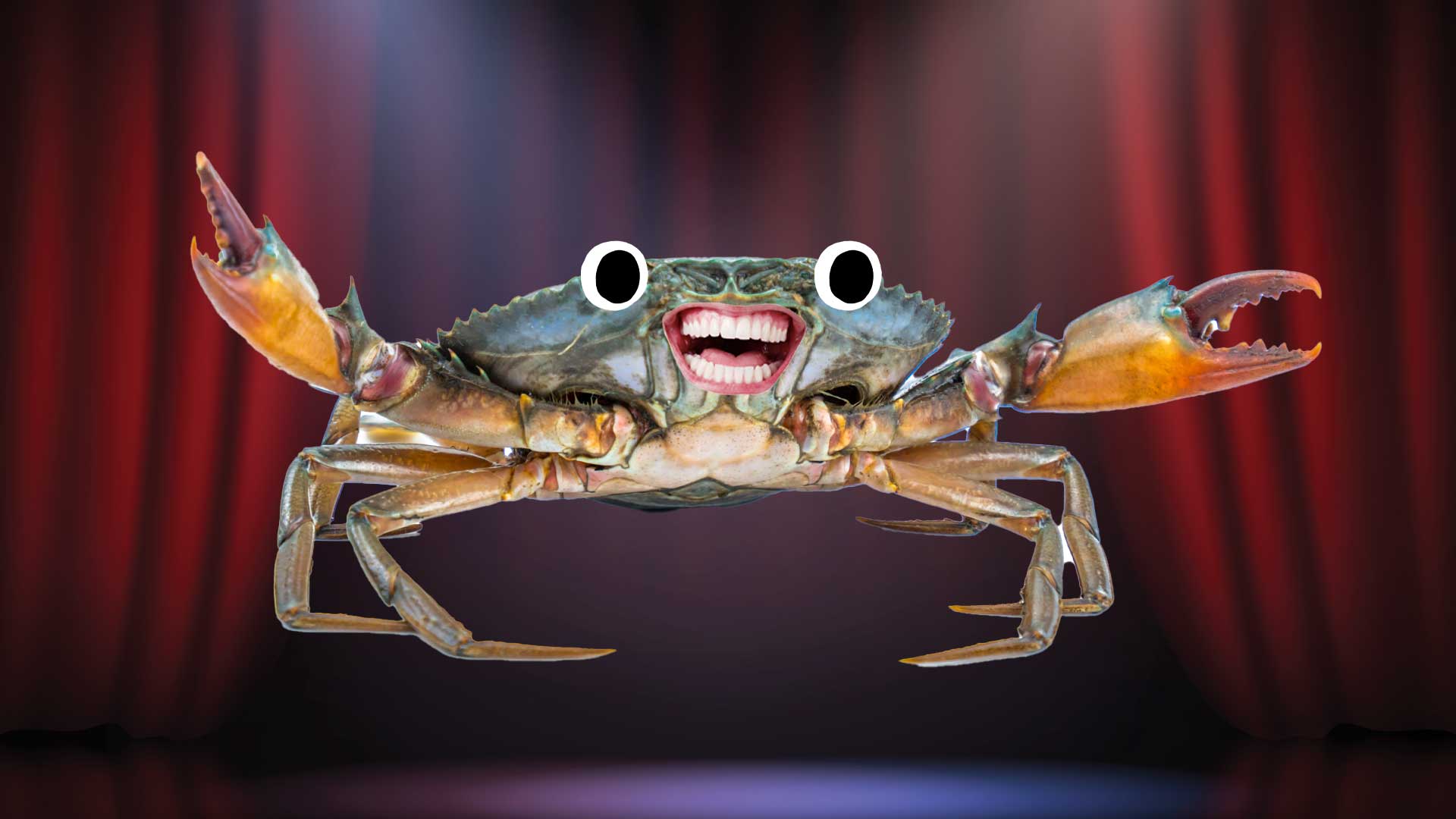Crab jokes for adults Sodomy squad gay porn