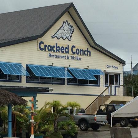 Cracked conch grand cayman webcam Gay groom porn