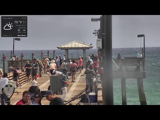 Dania beach pier webcam Tanya hyde porn