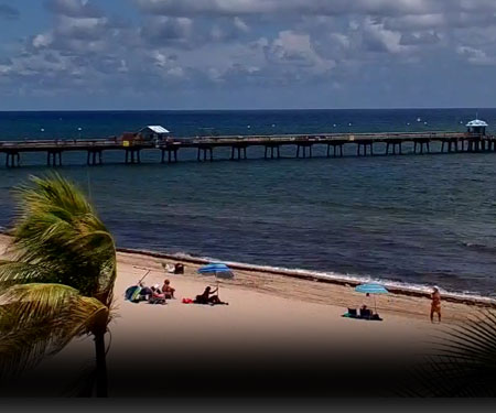 Dania beach pier webcam Natcomedy porn